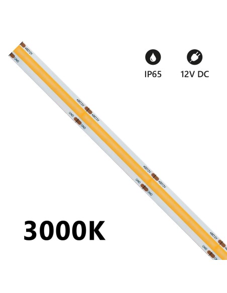 927007:LSC12V-3000K-IP