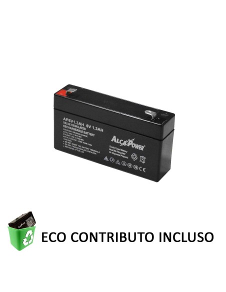 204002:AP6V1