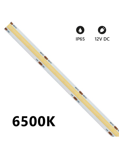 927009:LSC12V-6500K-IP