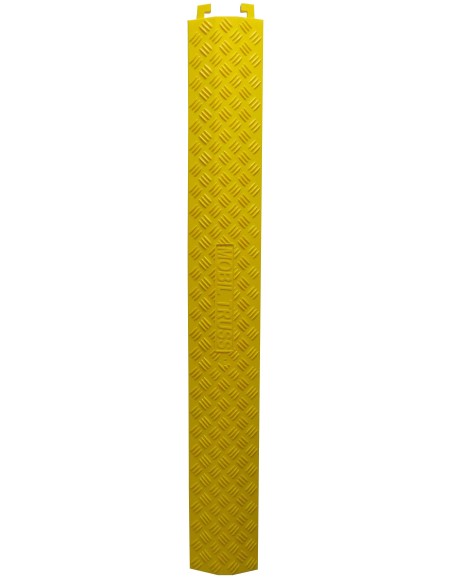 CC 1