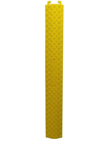 CC 1
