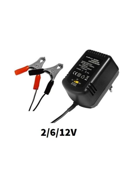 Carica Batterie Piombo 2V - 6V - 12V