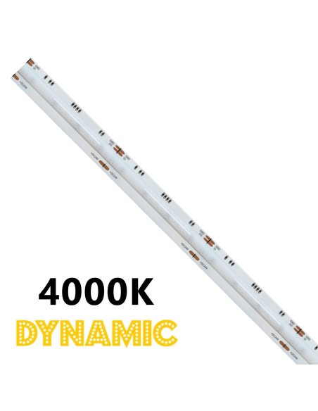 Striscia LED COB IP20 5m Dynamic 3000K 13W/m CRI90