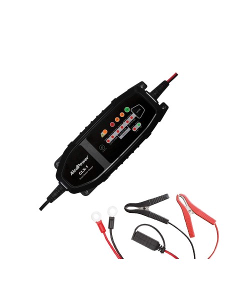 Carica Batterie Auto 6V e 12V max 120Ah LiFePO4