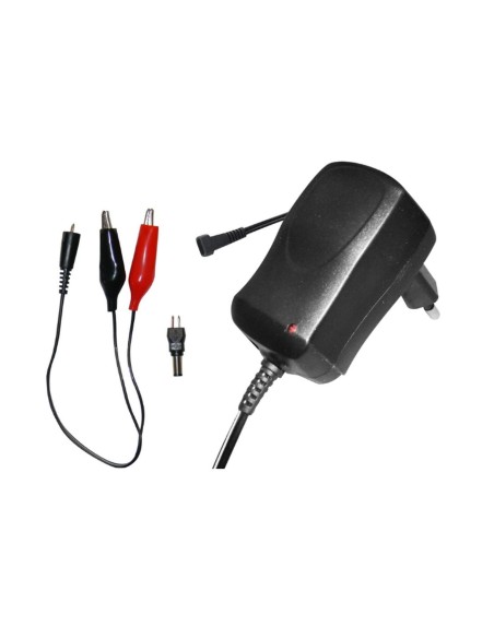Carica Batterie Piombo 6V max 6Ah