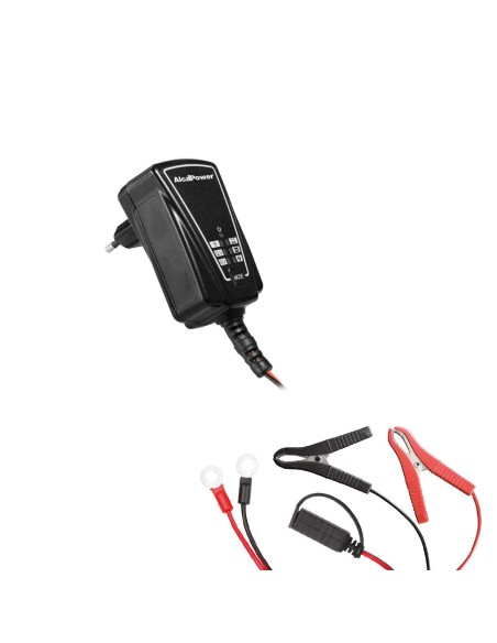 Carica Batterie Auto 6V - 12V max 60Ah