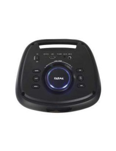 Diffusore ricaricabile con microfono 200W 2