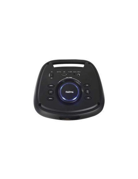 Diffusore ricaricabile con microfono 200W