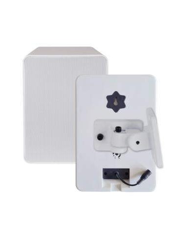 Diffusore wireless 50W
