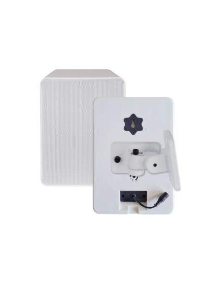 Diffusore wireless 50W