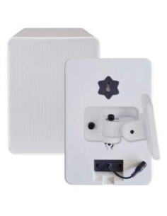 Diffusore wireless 50W 2
