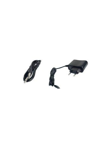 Doppio radiomicrofono palmare UHF